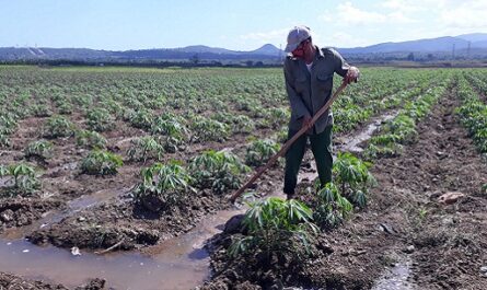 Migración del campo a la ciudad