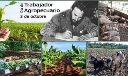 Celebran Día del Trabajador Agropecuario en Cienfuegos