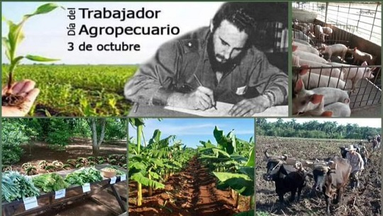 Celebran Día del Trabajador Agropecuario en Cienfuegos