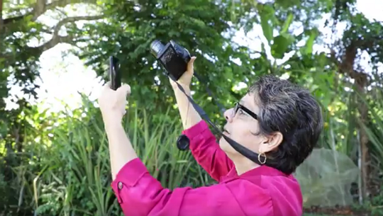 📹 Contribuye a protección de la biodiversidad proyecto de Naciones Unidas en Cuba