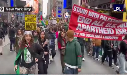 Manifestaciones de apoyo al pueblo palestino en principales ciudades de Estados Unidos