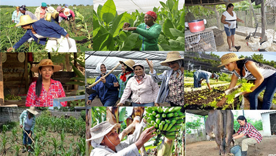 Cuba: empoderamiento femenino en Día de la Mujer Rural