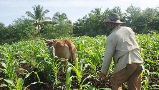 Asuntos legales con impacto directo en la agricultura