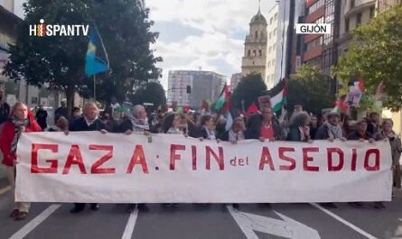 Continúan las manifestaciones por la causa palestina distintos países del mundo