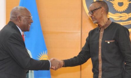 Dialoga Valdés Mesa con Presidente de Ruanda