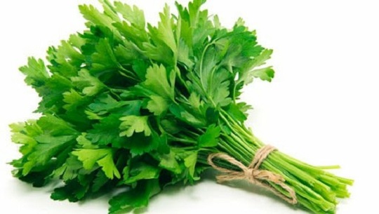 El Cilantro: propiedades y beneficios