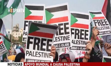 El mundo alza su voz en apoyo a la causa palestina