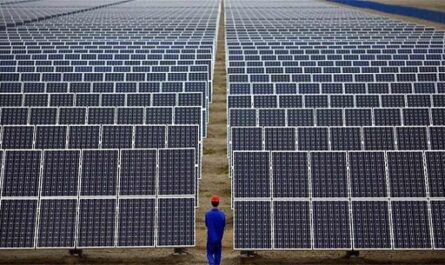 Manufactura inteligente impulsa industria de paneles solares en China