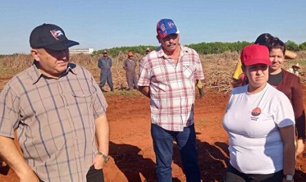 La actual campaña de frío en los polos agrícolas de Horquita y Juraguá, y la implementación allí de los colectivos laborales agropecuarios, resultaron chequeados este domingo en Cienfuegos por el Viceprimer Ministro cubano Jorge Luis Tapia Fonseca.