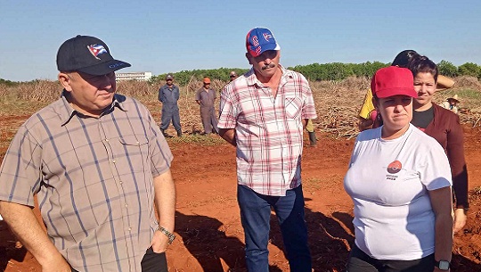 La actual campaña de frío en los polos agrícolas de Horquita y Juraguá, y la implementación allí de los colectivos laborales agropecuarios, resultaron chequeados este domingo en Cienfuegos por el Viceprimer Ministro cubano Jorge Luis Tapia Fonseca.