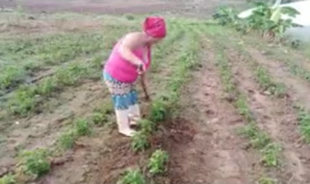 Campesinos de Cumanayagua por mejor uso de las ciencias