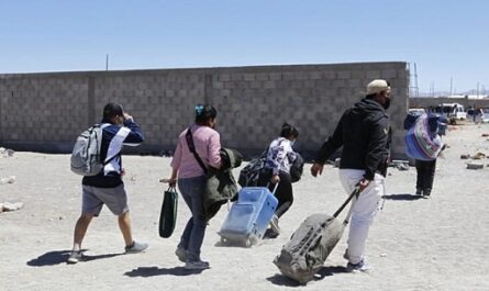 Día Internacional del Migrante, países de destino buscan desincentivar el flujo de indocumentados