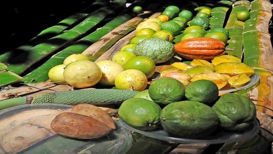 📹 Conozca a Cienfuegos: Finca de Frutales «El Nicho»