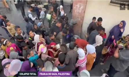 La OMS hace saltar las alarmas por la combinación letal de hambre y enfermedades en Gaza