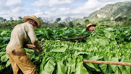 Una mirada a la economía cubana en 2023