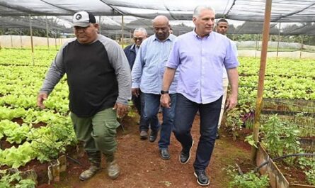 Inicia Presidente cubano recorridos de trabajo en la capital