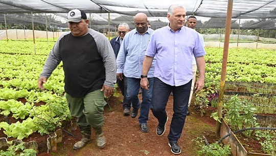 Inicia Presidente cubano recorridos de trabajo en la capital