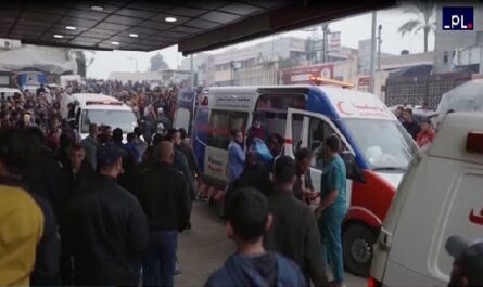 Alerta Cruz Roja Internacional sobre peligro de colapso médico total en Franja de Gaza