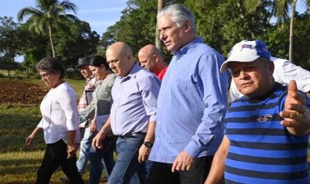 Visita Díaz-Canel centros económicos de central provincia de Cuba