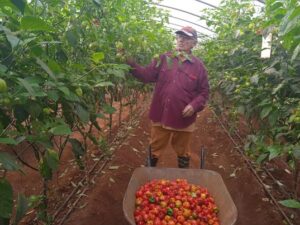 Omar Almeida Cobas, fundador de las Casas de cultivo, en Horquita.