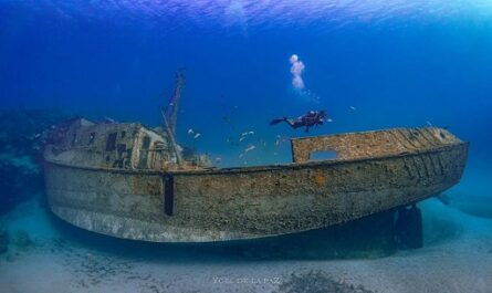 Bahía de Cienfuegos, EL C-97, de chatarra a Patrimonio