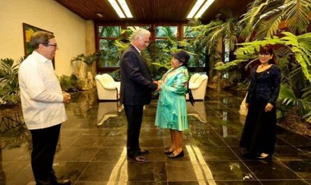 Agradece presidente de Cuba solidaridad inquebrantable de Bolivia