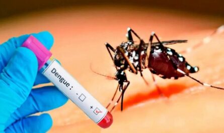 Brasil y Argentina luchan contra la alta tasa de casos de dengue