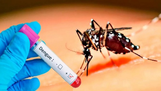 Incrementan en Abreus los pacientes con Síndrome Febril Inespecífico y sospecha de Dengue