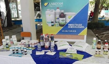 Evaluaron actividad productiva de LABIOFAM Cienfuegos durante el 2023