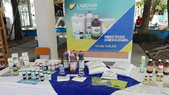 Evaluaron actividad productiva de LABIOFAM Cienfuegos durante el 2023