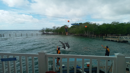 Evalúan cambio climático en el delfinario de Cienfuegos