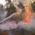 Los incendios forestales 2024