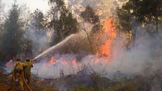 🎧 El Triángulo de la confianza: Los incendios forestales 2024