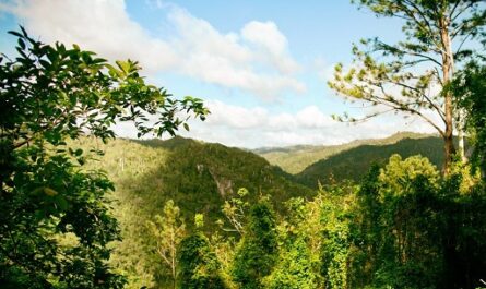 Naturaleza e historia en la Sierra del Escambray