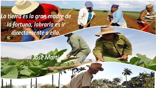 Cienfuegos: actividades campesinas en vísperas al aniversario de la Ley de Reforma Agraria