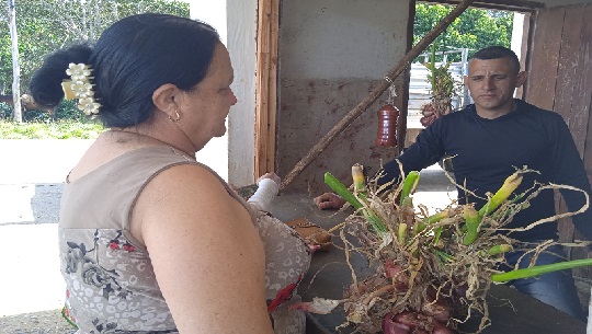 🎧 Cienfuegos: Contribuye joven montañés con alimentación en El Sopapo