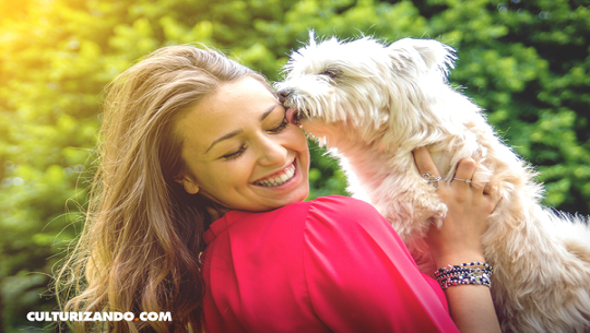 📹 ¿Cómo los perros reconocen nuestro estado de ánimo?