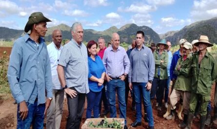 Recorre Díaz-Canel centros económicos de occidental provincia de Cuba