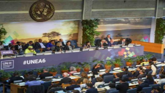 ONU aprueba resolución cubana sobre aplicación de la economía circular en la caña de azúcar