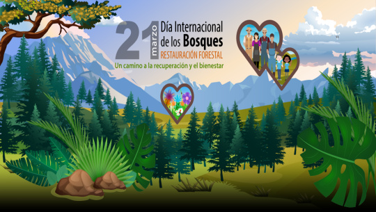 El mundo celebra Día Internacional de los Bosques