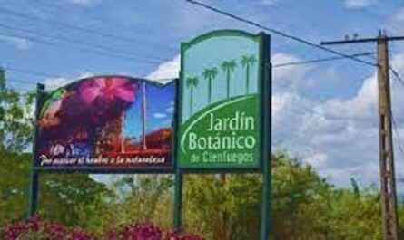 Conozca a Cienfuegos: Jardín Botánico