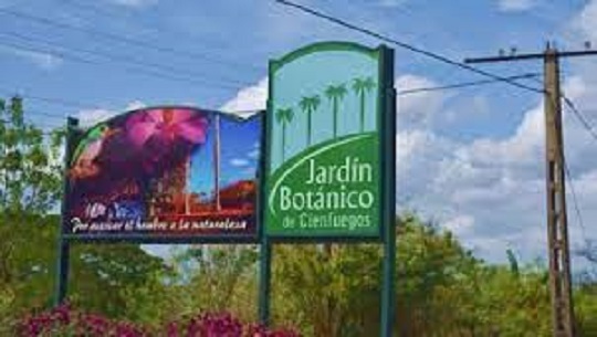 📹 Conozca a Cienfuegos: Jardín Botánico