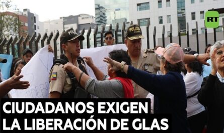 Ecuatorianos-exigen-la-liberacion-de-Glas