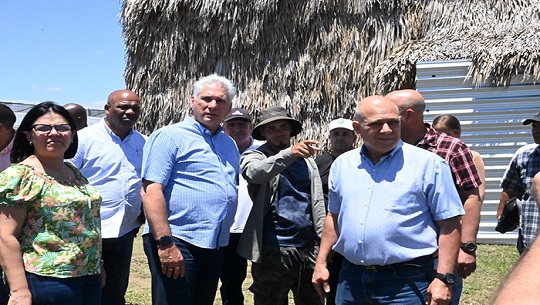 Recorrido-Presidente-cubano-por-entidades-economicas-del-centro-del-pais