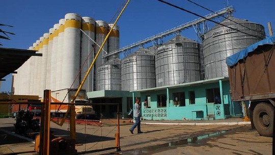 Soportan innovaciones disponibilidad técnica de mayor molino de trigo del país