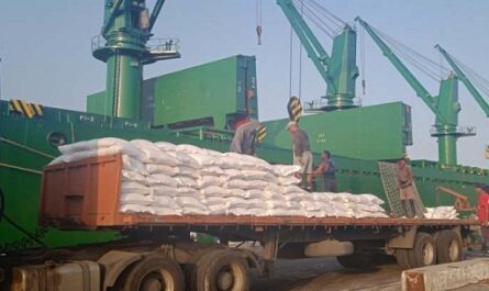 Descargan arroz de canasta básica de abril en puerto de Cienfuegos