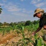 17-de-Mayo-Dia-del-Campesino