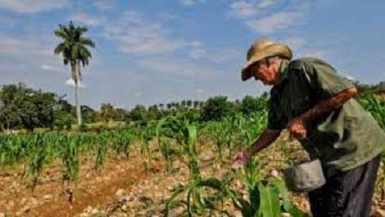 17 de Mayo: Día del Campesino Cubano