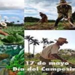 Condecoran-a-campesinos-y-cooperativistas-en-Cienfuegos