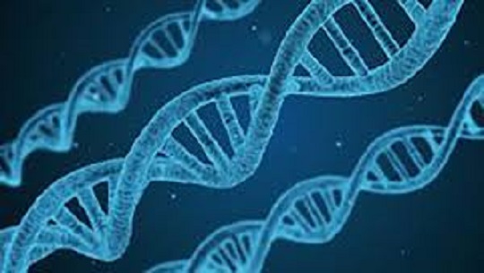 Desarrollos recientes en la terapia génica para enfermedades hereditarias